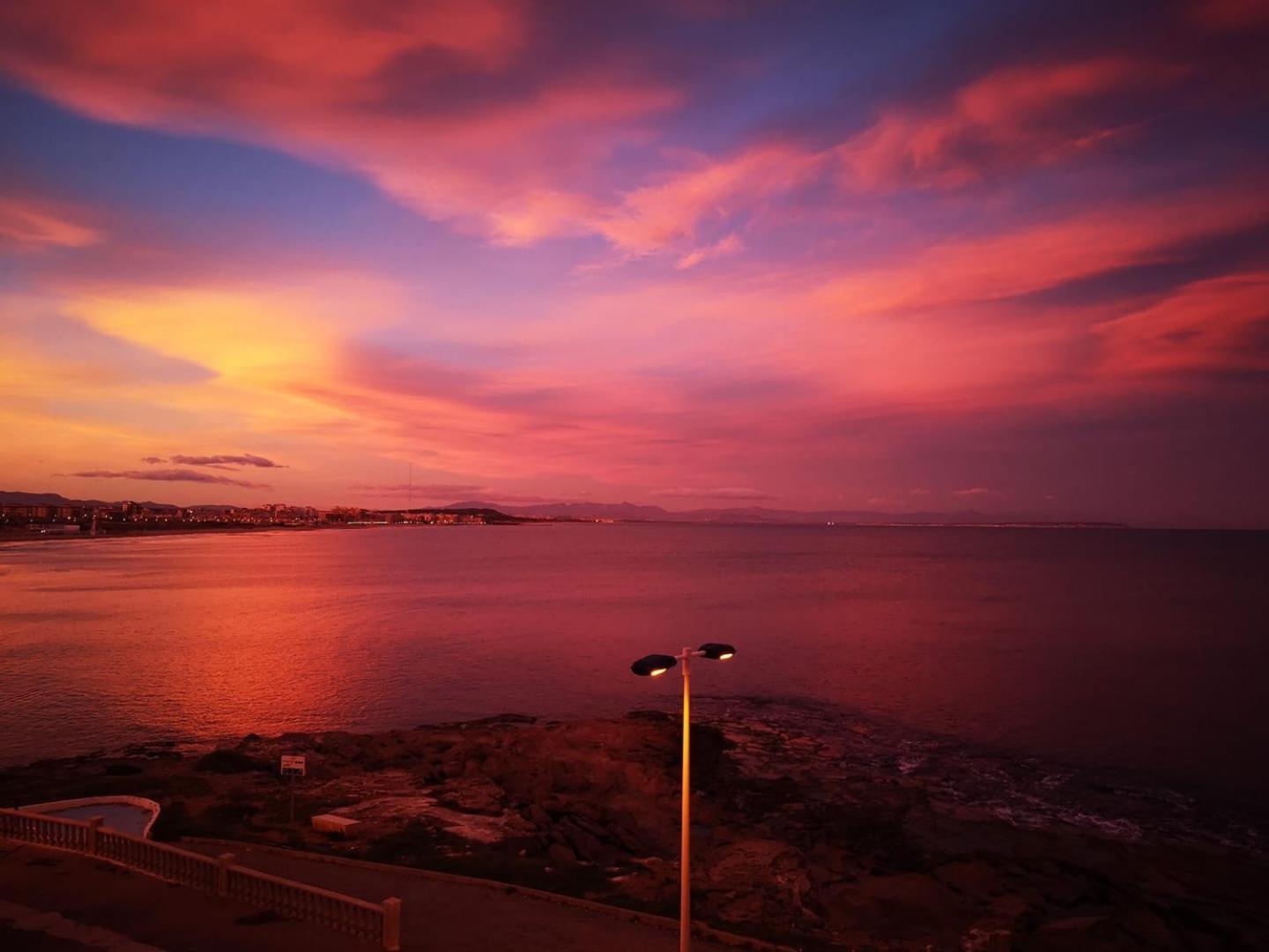 Sea View Apartments Dunas De La Mata 托雷维耶哈 外观 照片