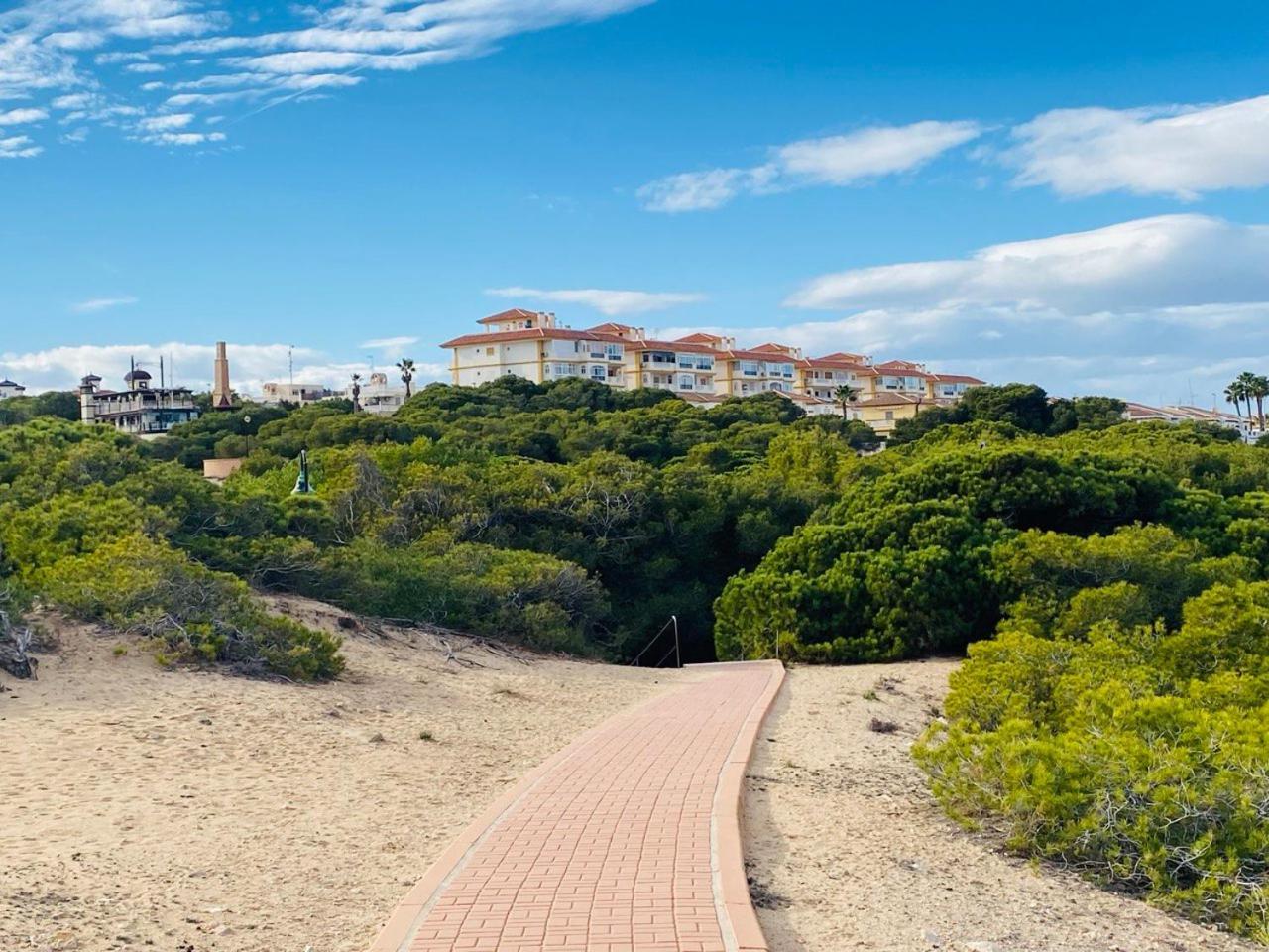 Sea View Apartments Dunas De La Mata 托雷维耶哈 外观 照片