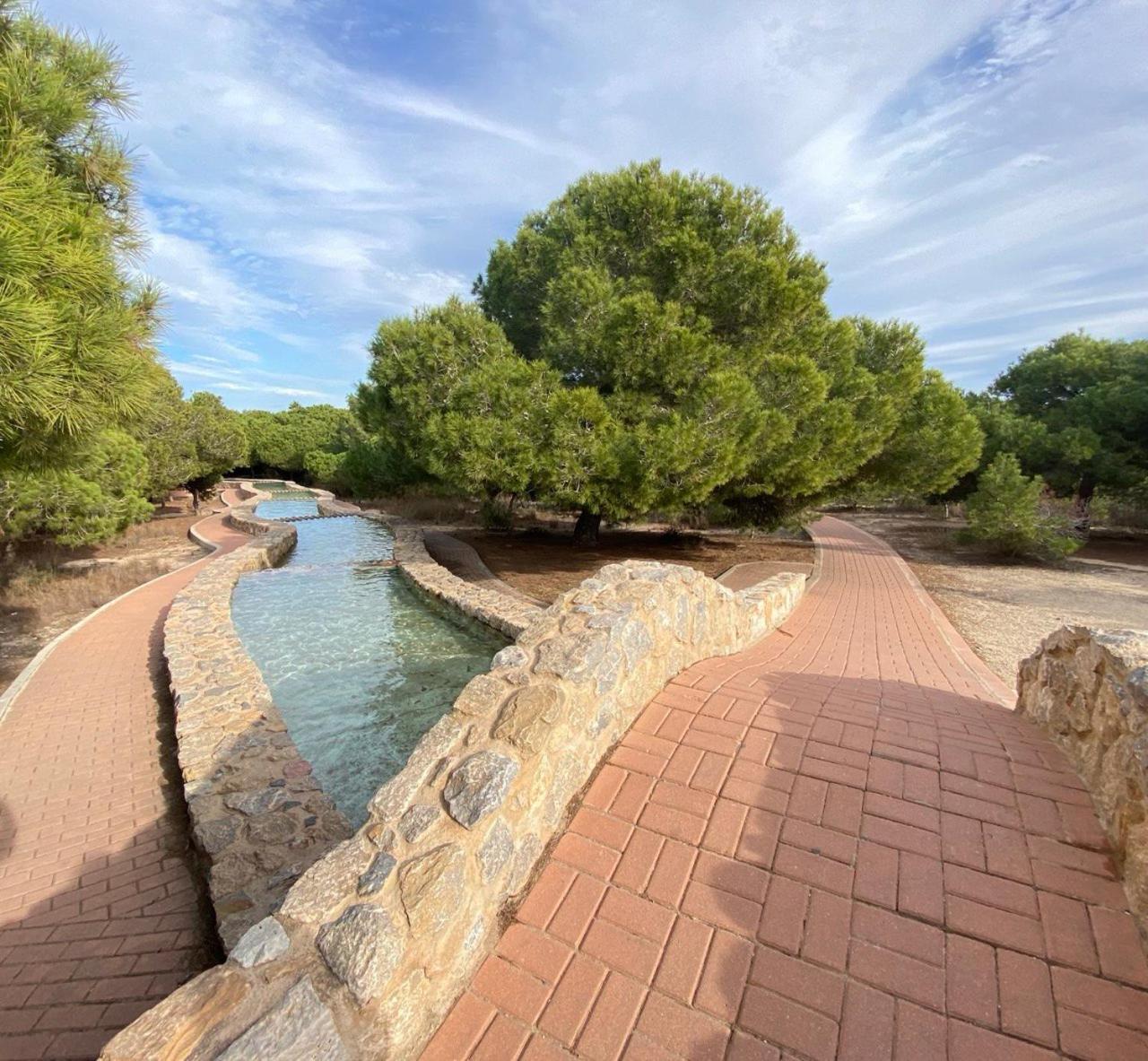 Sea View Apartments Dunas De La Mata 托雷维耶哈 外观 照片